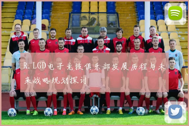 R.LGD电子竞技俱乐部发展历程与未来战略规划探讨