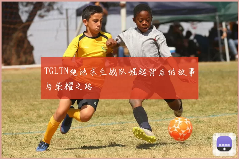 TGLTN绝地求生战队崛起背后的故事与荣耀之路