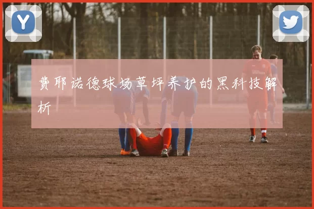 费耶诺德球场草坪养护的黑科技解析