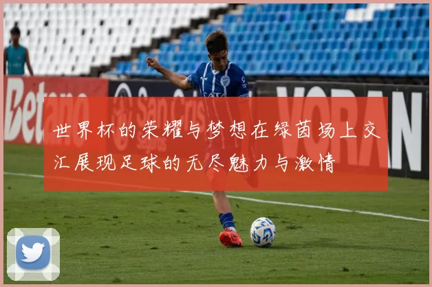 世界杯的荣耀与梦想在绿茵场上交汇展现足球的无尽魅力与激情