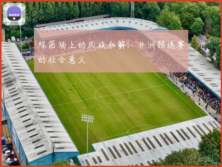 绿茵场上的民族和解：非洲预选赛的社会意义