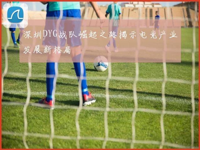 深圳DYG战队崛起之路揭示电竞产业发展新格局