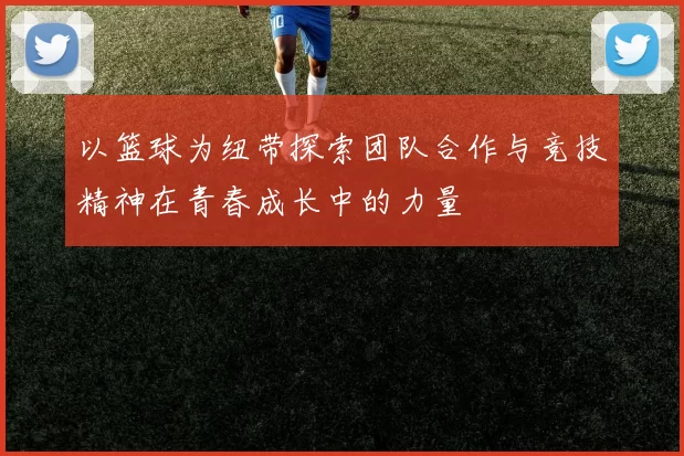 以篮球为纽带探索团队合作与竞技精神在青春成长中的力量