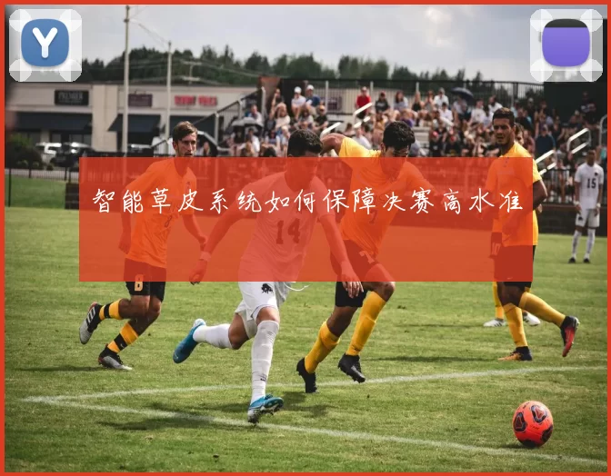 智能草皮系统如何保障决赛高水准